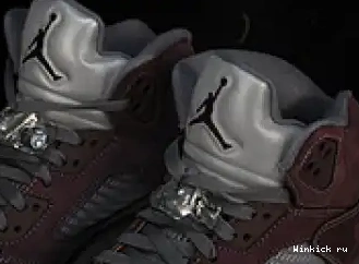 Air 5 “Burgundy” Jordan 0504